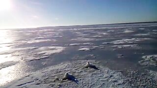 Зимняя рыбалка в Приморске 17 февраля на свале втроем