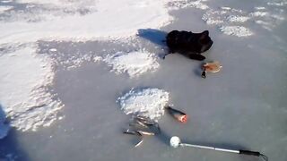 Зимняя рыбалка в Приморске 17 февраля на свале втроем