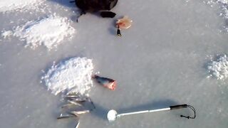 Зимняя рыбалка в Приморске 17 февраля на свале втроем