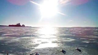 Зимняя рыбалка в Приморске 17 февраля на свале втроем