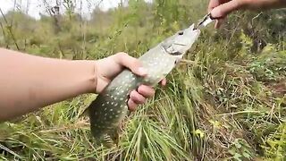 Туманное утро в Поти: две щуки у друзей