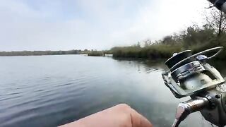 Туманное утро в Поти: две щуки у друзей