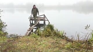 Туманное утро в Поти: две щуки у друзей