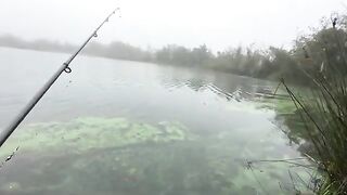 Туманное утро в Поти: две щуки у друзей