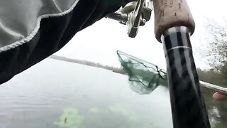 Туманное утро в Поти: две щуки у друзей