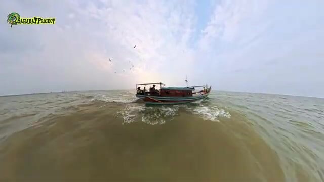 Малаккский пролив: красный луциан и долгий путь к морской точке