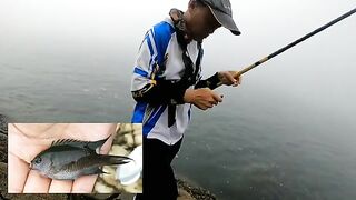Гонконг, Клируотер-Бей: береговая удочка и морской день с командой