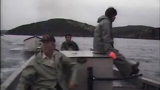 Тресковые ловушки у айсберга в Петти-Харбор на побережье Лабрадора