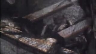 Тресковые ловушки у айсберга в Петти-Харбор на побережье Лабрадора