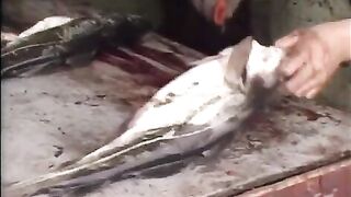 Тресковые ловушки у айсберга в Петти-Харбор на побережье Лабрадора