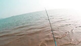 Байчай в Халонге: морской червь, три крючка и мелкая донная рыба
