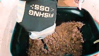 Байчай в Халонге: морской червь, три крючка и мелкая донная рыба