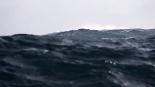 Последние ловушки у Лоу-Роки-Пойнт и выгрузка 715 кг лангустов на Тасмании
