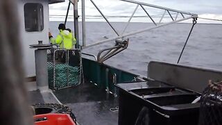Последние ловушки у Лоу-Роки-Пойнт и выгрузка 715 кг лангустов на Тасмании
