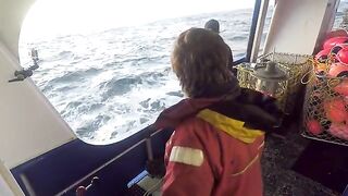Последние ловушки у Лоу-Роки-Пойнт и выгрузка 715 кг лангустов на Тасмании