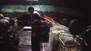 Последние ловушки у Лоу-Роки-Пойнт и выгрузка 715 кг лангустов на Тасмании