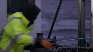 Последние ловушки у Лоу-Роки-Пойнт и выгрузка 715 кг лангустов на Тасмании
