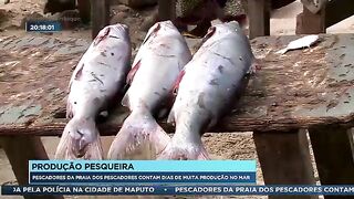Мапуту: удачные дни местных рыбаков и план морской поездки