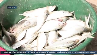 Мапуту: удачные дни местных рыбаков и план морской поездки