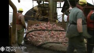 Залив Святого Лаврентия: разговор о квотах и рыбалка для гостей