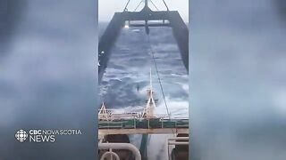 Залив Святого Лаврентия: разговор о квотах и рыбалка для гостей