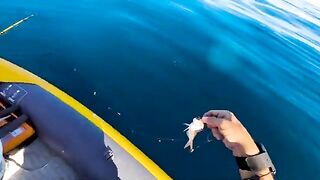 Самодельный чапари с моторного каяка у Кызкалеси принес красную рыбу и скумбрию
