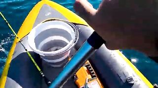 Самодельный чапари с моторного каяка у Кызкалеси принес красную рыбу и скумбрию