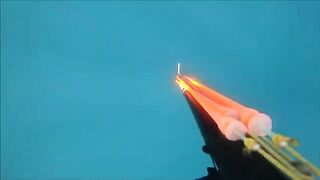Тарханкут: пеламида, подводный сюжет и другой морской маршрут