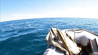 Тарханкут: пеламида, подводный сюжет и другой морской маршрут