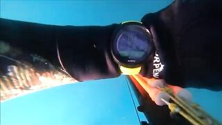 Тарханкут: пеламида, подводный сюжет и другой морской маршрут