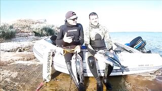 Тарханкут: пеламида, подводный сюжет и другой морской маршрут