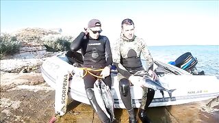 Тарханкут: пеламида, подводный сюжет и другой морской маршрут