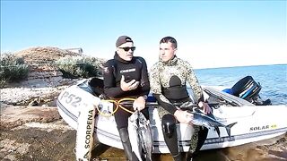 Тарханкут: пеламида, подводный сюжет и другой морской маршрут