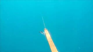 Тарханкут: пеламида, подводный сюжет и другой морской маршрут