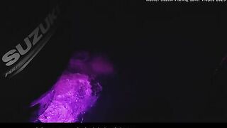 Сен-Тропе: спортивная рыбалка и отпускание рыбы