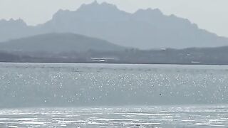 Микроджиг на притоке Дуная в Будапеште и встреча с местным фидеристом