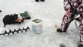 Корсаков, Сахалин: корюшка на льду и подготовка зимнего дня