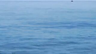 Полдня на лодке за пелагической скумбрией в прибрежных водах Вэйхая