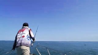 Полдня на лодке за пелагической скумбрией в прибрежных водах Вэйхая