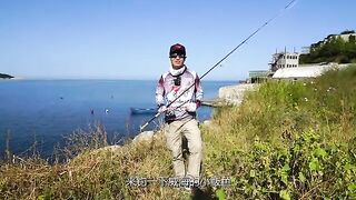 Полдня на лодке за пелагической скумбрией в прибрежных водах Вэйхая