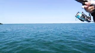 Полдня на лодке за пелагической скумбрией в прибрежных водах Вэйхая