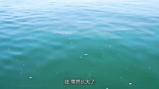 Полдня на лодке за пелагической скумбрией в прибрежных водах Вэйхая
