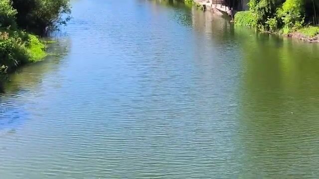 Дагомыс: шелковица как насадка и рыбалка на курортной реке