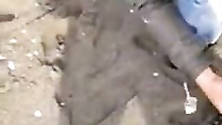 Коджаали, Турция: черноморский калкан и работа с пойманной рыбой