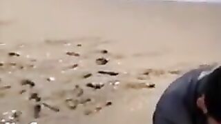 Коджаали, Турция: черноморский калкан и работа с пойманной рыбой