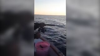 Сильная рыба на джиг у Калкана, которую вываживали с капитаном