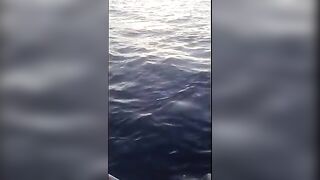 Сильная рыба на джиг у Калкана, которую вываживали с капитаном