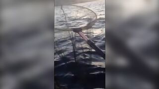 Сильная рыба на джиг у Калкана, которую вываживали с капитаном