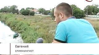 Приморск: архив о заморе и выбор другого рыболовного дня