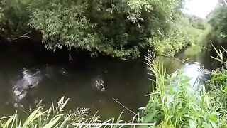 Крупный зеркальный карп на маленькой реке в Алахадзы